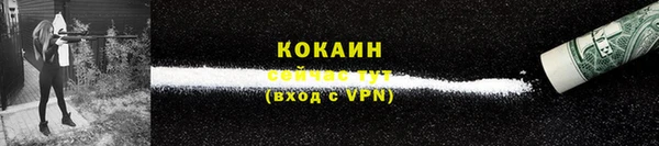 винт Тавда